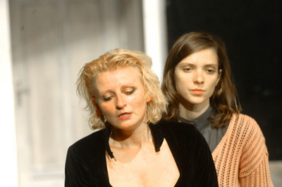 A pelikán A pelikán