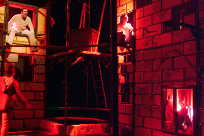 Koldustetű Koldustetű