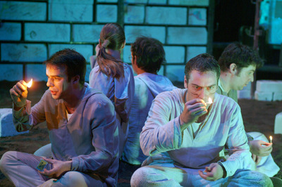 Koldustetű Koldustetű